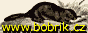 www.bobrik.cz