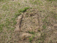 foto č.2