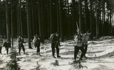 ZT LSW 26. 12. 1950, Vojtkov u Kralickho Snnku